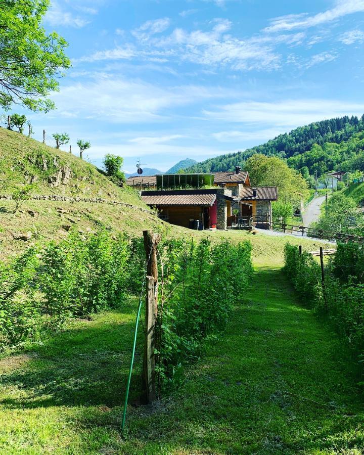 Agriturismo Il Talento Nella Quiete Castiglione dʼIntelvi Eksteriør billede