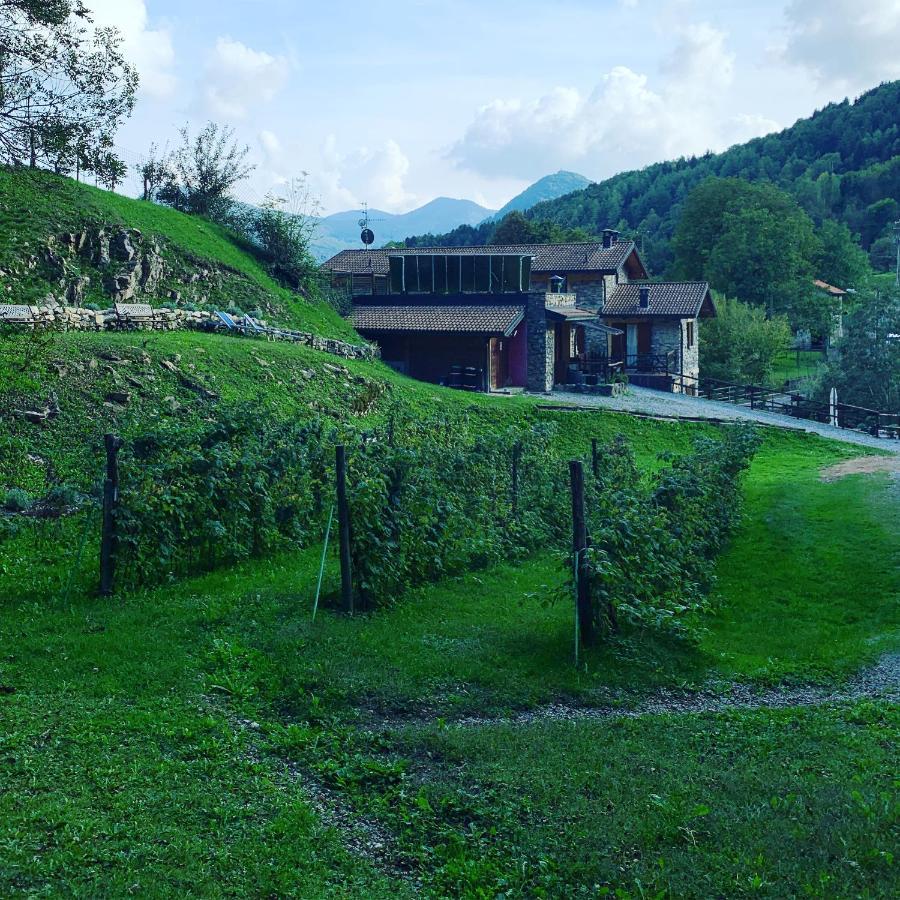 Agriturismo Il Talento Nella Quiete Castiglione dʼIntelvi Eksteriør billede