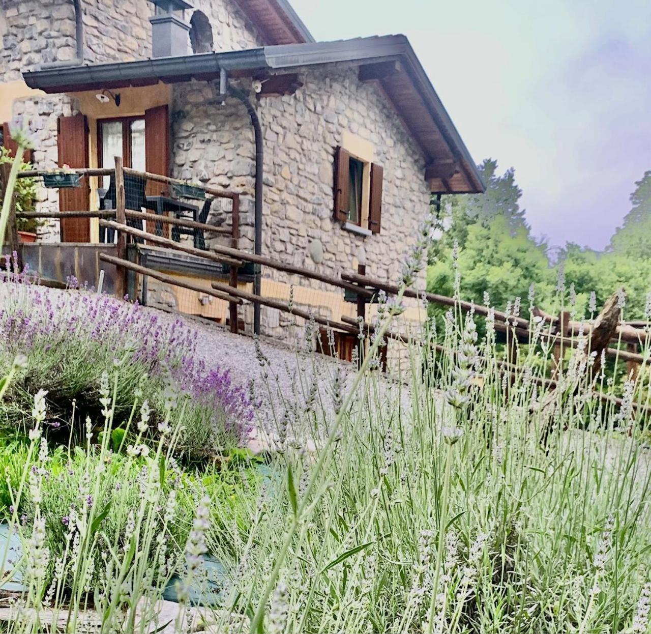 Agriturismo Il Talento Nella Quiete Castiglione dʼIntelvi Eksteriør billede